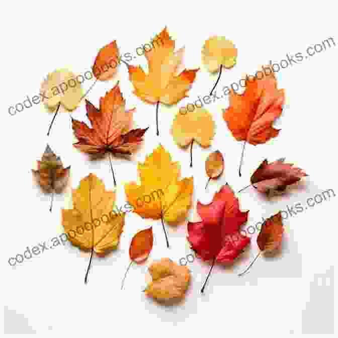 A Colorful Array Of Autumn Leaves, Showcasing The Beauty Of The Season. Haiku Yellow (Haiku Seasons 1)