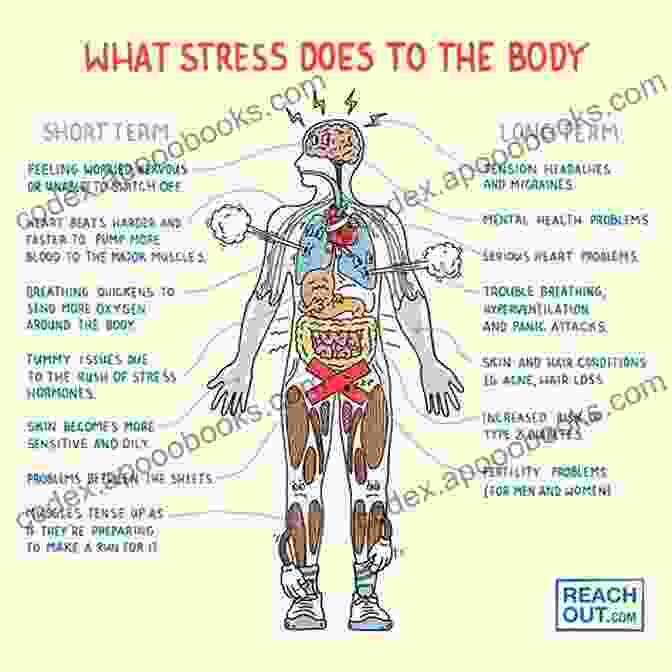 A Depiction Of Stress, Capturing Its Multifaceted Effects On The Mind And Body, From Racing Thoughts To Physical Tension. Why We Get Sick: The Hidden Epidemic At The Root Of Most Chronic Disease And How To Fight It