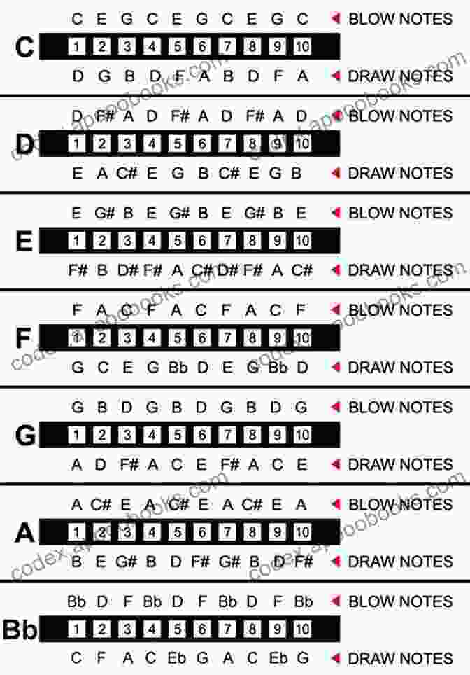 A Diagram Of Harmonica Chords Get Chugging: How To Play Rhythm Harmonica