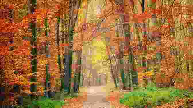 A Forest Path Adorned With Fallen Leaves, Evoking The Tranquility Of Autumn. Fragments: Haiku And Verse Of Seasons