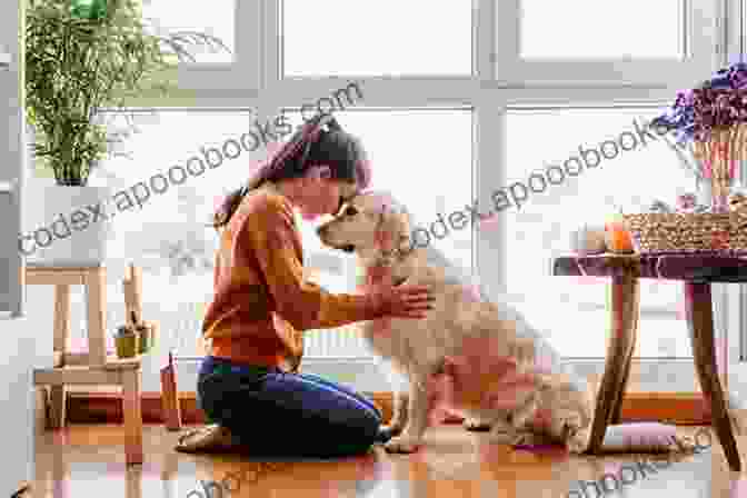 A Happy Dog Sitting Next To Its Owner Why Do Pets Have People? (People And Pets)