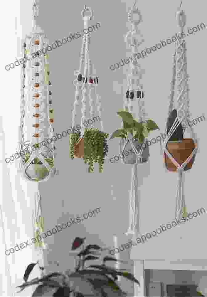 A Macrame Plant Hanger With A Pot Of Succulents Hanging Inside It Baby Punch Needle: Step By Step Instructions For 13 Projects