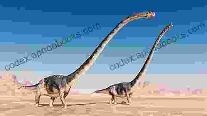 A New Species Of Long Necked Dinosaur Has Been Discovered Top 10 Dinosaurs Of 2024: The 10 Biggest Dinosaur Discoveries Of 2024 (I Know Dino Top 10 Dinosaurs 3)