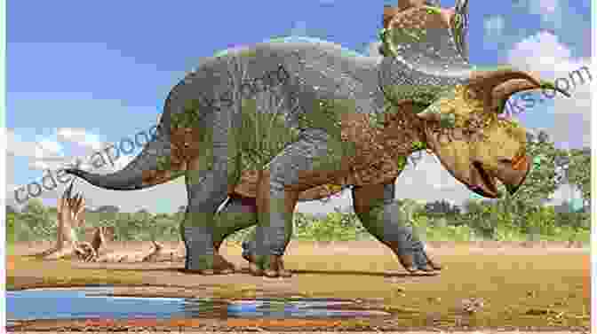 A New Species Of Triceratops Has Been Discovered Top 10 Dinosaurs Of 2024: The 10 Biggest Dinosaur Discoveries Of 2024 (I Know Dino Top 10 Dinosaurs 3)