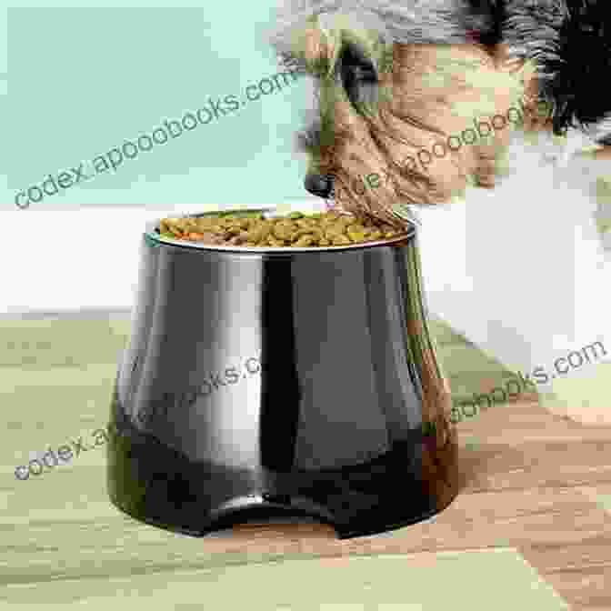 A Person Filling A Bowl Of Pet Food Valley Bulldog : Complete Owners Guide Acquisition Cost Care Proper Care Proper Health And Diet Of Your Amazing Pet