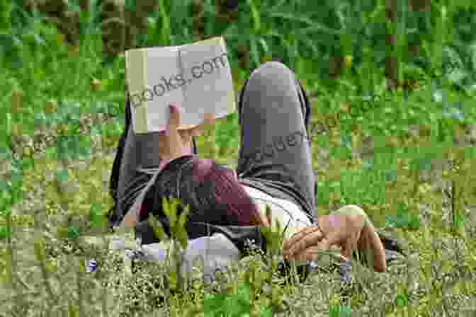 A Person Sitting In Nature, Reading A Book Of Haiku Haiku Summer (Haiku Seasons 4)