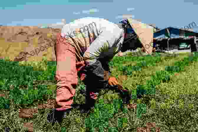 A Photograph Of A Farmer Tending To A Field Of Crops Seeds Watching A Seed Grow Into A Plants Botany For Kids Children S Agriculture