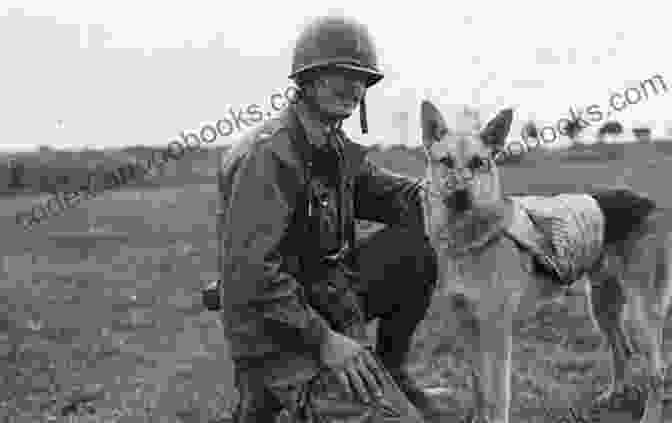 A Soldier And His Dog During World War II Bonded By Battle: The Powerful Friendships Of Military Dogs And Soldiers From The Civil War To Operation Iraqi Freedom