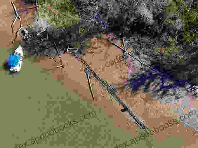 A Sonar Image Of The Clotilda Wreck, Discovered In The Mobile River. The Last Slave Ship: The True Story Of How Clotilda Was Found Her Descendants And An Extraordinary Reckoning