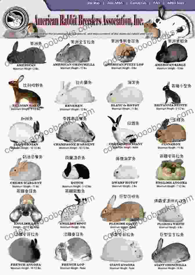 A Variety Of Meat Rabbit Breeds Available For Selection RAISING MEAT RABBITS: HOUSING BREEDS NUTRITION BREEDING HEALTH