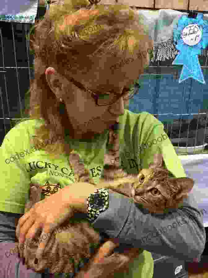 A Volunteer Lovingly Strokes A Rescued Cat. Tall Tails: They Rescued Me