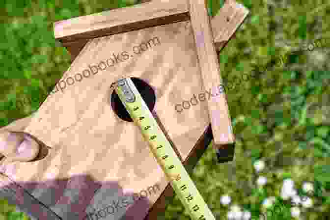 A Wooden Birdhouse With A Sloping Roof And A Small Entry Hole Baby Punch Needle: Step By Step Instructions For 13 Projects