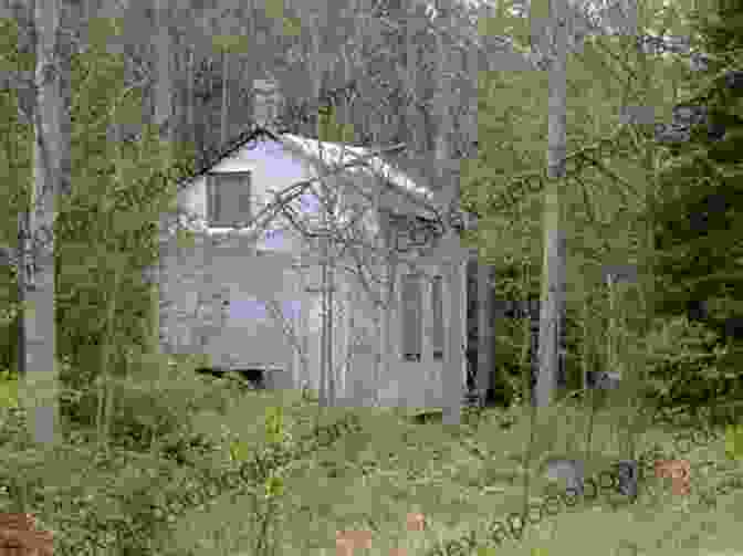 An Abandoned Cabin In A Ghost Town In Muskoka Andrew Hind And Maria Da Silva 3 Bundle: RMS Segwun / Ghost Towns Of Muskoka / Ghosts Of Niagara On The Lake