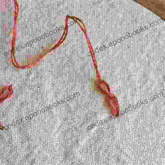 An Elegant Chain Stitch, Forming A Series Of Interconnected Loops Needlework The Classic And Complete Encyclopedia (Illustrated)