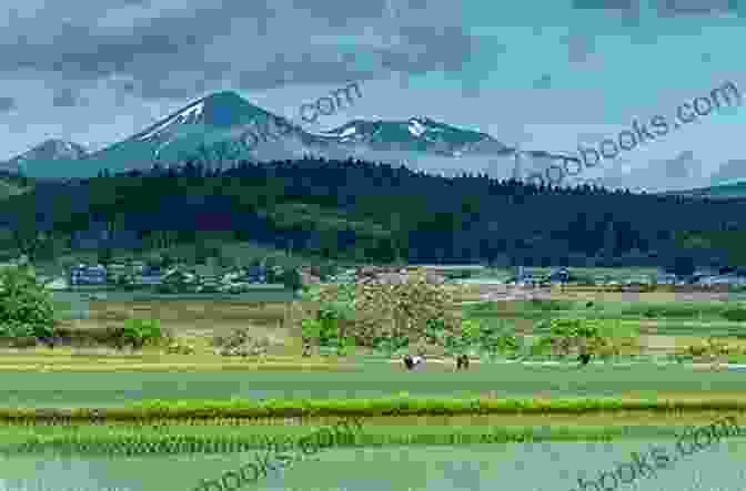 Aomori Prefecture's Mountains A Complete Guide To Aomori Prefecture