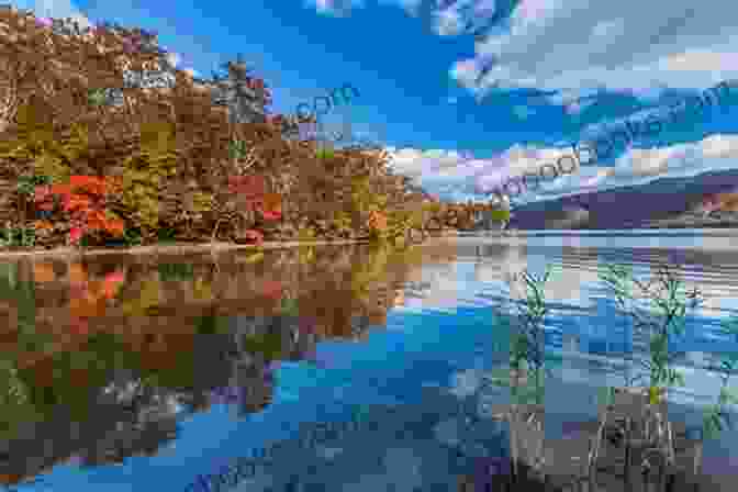 Autumn Colors Reflecting In The Tranquil Waters Of Lake Towada Aomori Prefecture: A Photographic Journey