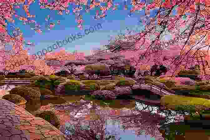 Beautiful Japanese Landscape With Cherry Blossoms And A Silhouette Of A Traveler The Six Foot Bonsai: A Soul Lost In The Land Of The Rising Sun