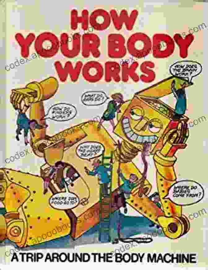 Book Cover Of 'How Your Body Works: Anatomy And Physiology' How Your Body Works Anatomy And Physiology