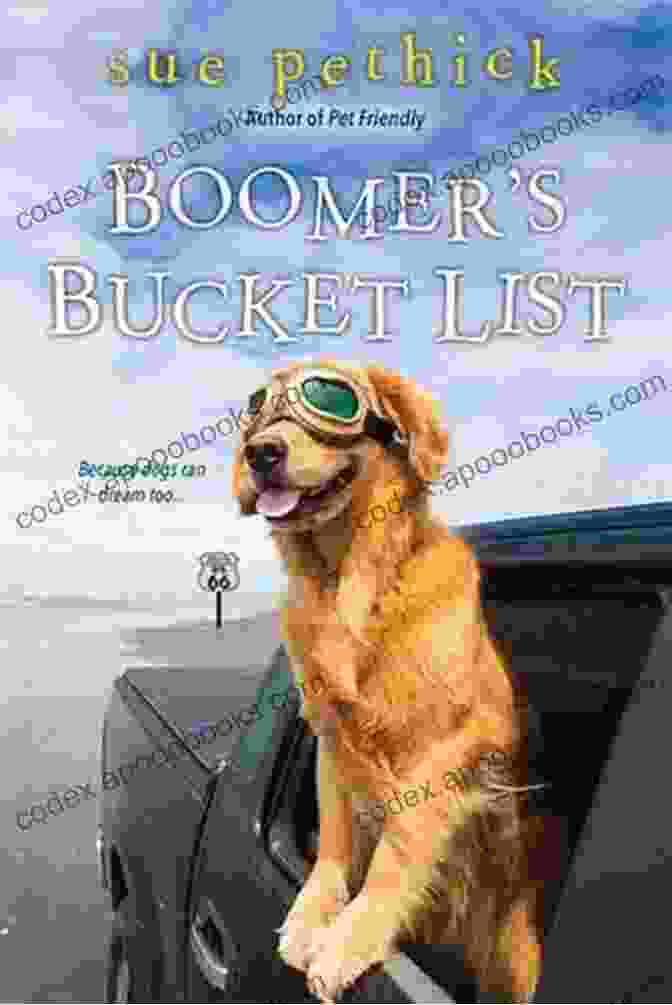 Boomer Bucket List Book Cover Featuring An Image Of A Smiling Senior Couple Enjoying A Sunset On The Beach Boomer S Bucket List Sue Pethick