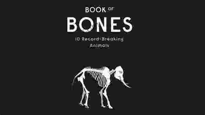 Cover Image Of The Book 'Are Bones Bendy?' Are Bones Bendy? Biology For Kids Children S Biology