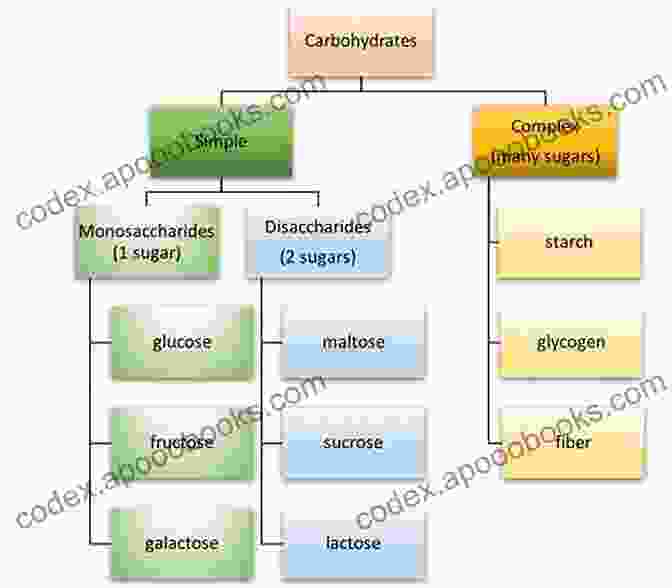 Diagram Of Carbohydrate Structure, Showcasing Different Types Of Sugars And Polysaccharides BIOMOLECULES: JEE Mains/Advance/ NEET