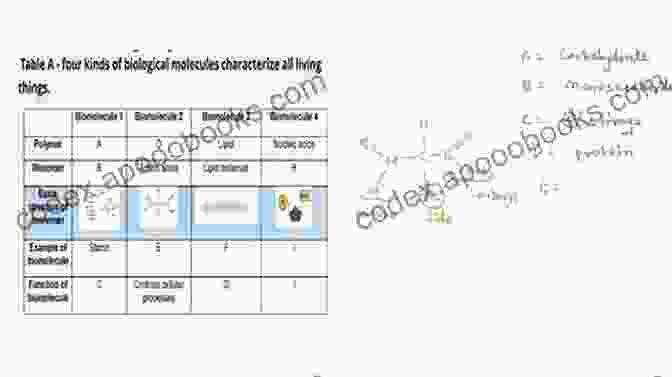 Diagram Of Practice Problems And Solved Examples Related To Biomolecules BIOMOLECULES: JEE Mains/Advance/ NEET