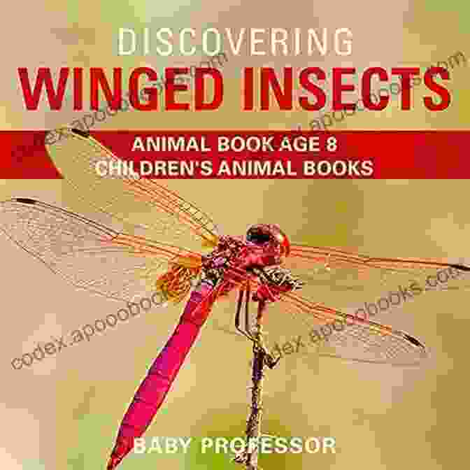 Discovering Winged Insects Book Cover Discovering Winged Insects Animal Age 8 Children S Animal