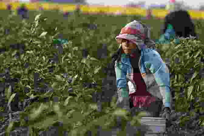 Farm Workers Toiling In The Fields The Elements Of San Joaquin: Poems