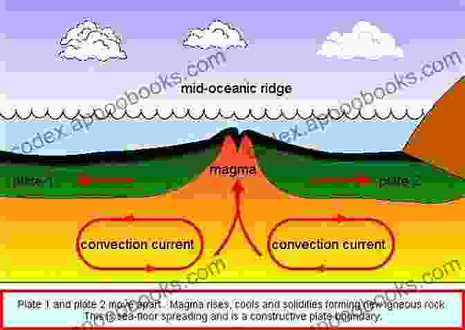 Formation Of Young Ocean Basins Through Seafloor Spreading The Red Sea: The Formation Morphology Oceanography And Environment Of A Young Ocean Basin (Springer Earth System Sciences)