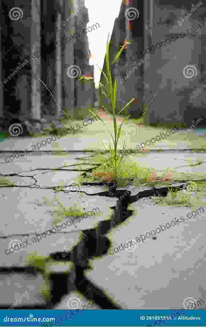 Green Shoots Sprouting From Cracked Concrete, Representing The Power Of Resilience Don T Let Them Get Your Goat