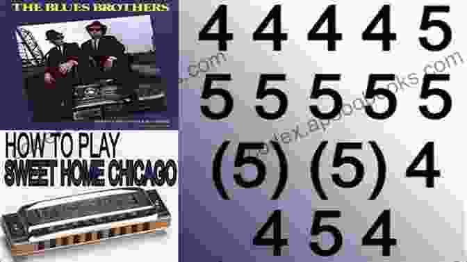 Harmonica Player Performing Sweet Home Chicago 10 Popular Harmonica Songs For Beginners