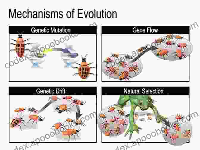 Infographic On Evolutionary Forces Shaping Annual Fish Diversity Annual Fishes: Life History Strategy Diversity And Evolution