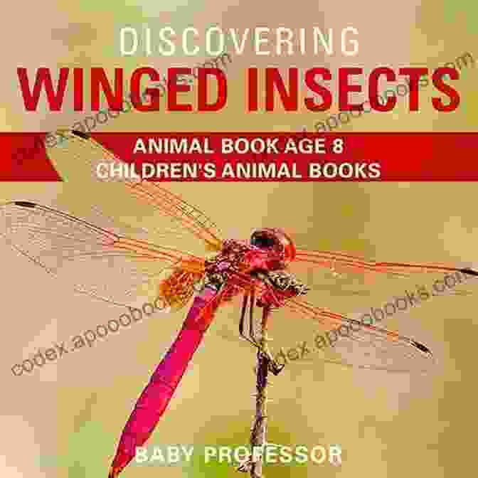 Insect Observation Activity Discovering Winged Insects Animal Age 8 Children S Animal