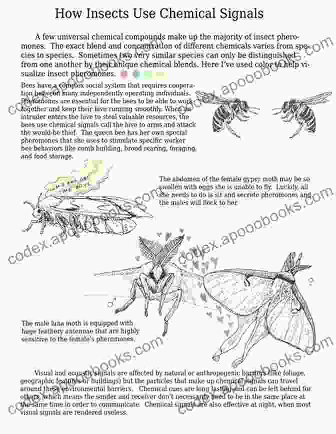 Insects Using Chemical Signals Discovering Winged Insects Animal Age 8 Children S Animal