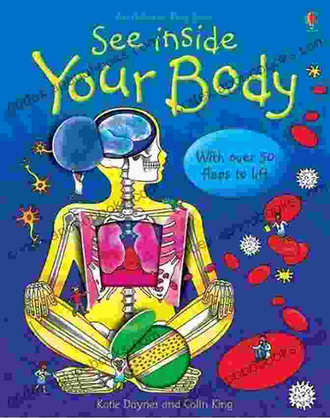 Inside The Body Book Cover Inside The Body Anatomy And Physiology