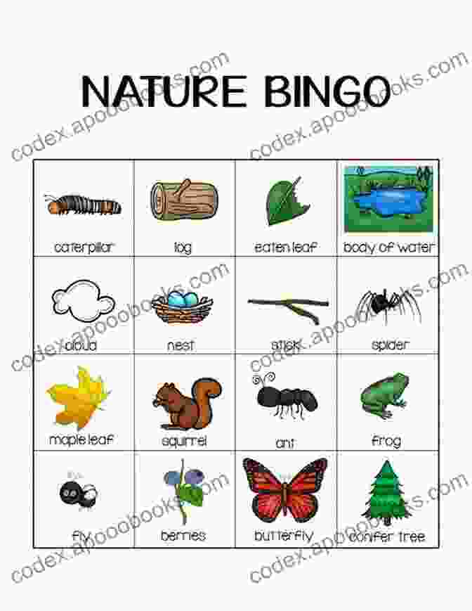 Kids Observing Nature And Marking Off Items On A Bingo Card. Weather We Like It Or Not : Cool Games To Play On A Sunny Day: Weather For Kids Earth Sciences (Children S Weather Books)