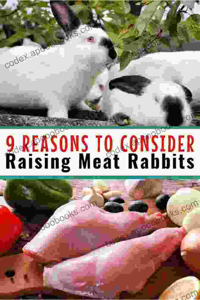 Maintaining The Health Of Meat Rabbits Through Proper Care RAISING MEAT RABBITS: HOUSING BREEDS NUTRITION BREEDING HEALTH