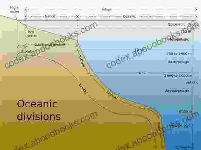 Marine Life In A Young Ocean Basin The Red Sea: The Formation Morphology Oceanography And Environment Of A Young Ocean Basin (Springer Earth System Sciences)