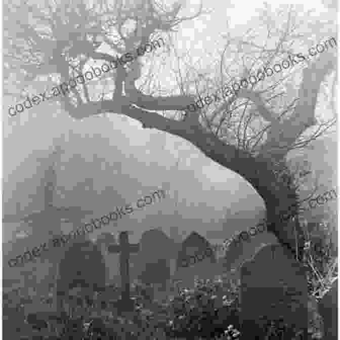 Misty Graveyard With Ornate Tombstones No Access Washington DC: The Capital S Hidden Treasures Haunts And Forgotten Places