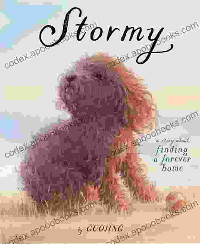 Season Stormy Childhood Book Cover Season 1: A Stormy Childhood C H