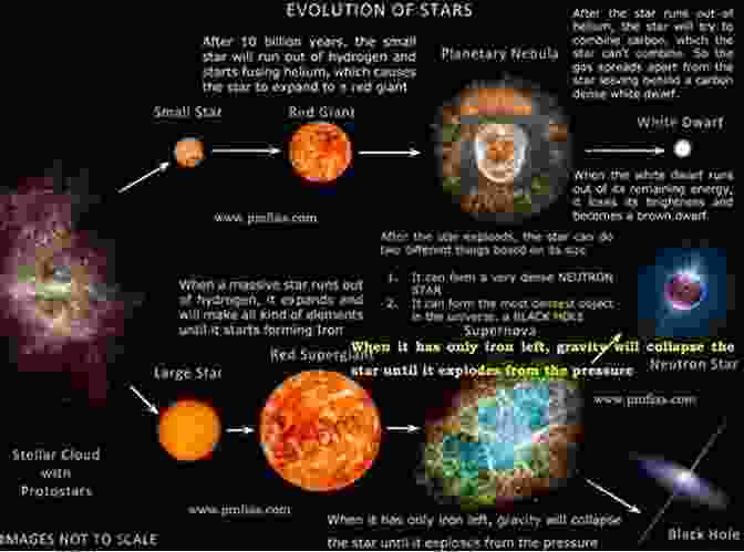 Stellar Evolution The Origin Of The Universe Understanding The Universe Astronomy Science Grade 8 Children S Astronomy Space