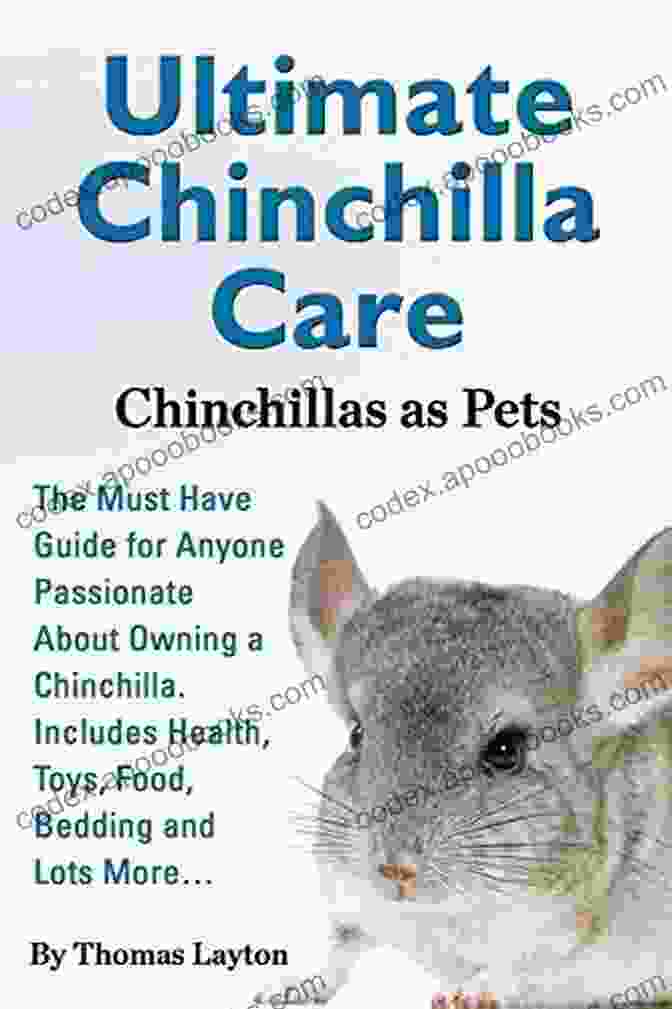 Ultimate Chinchilla Care Book Cover Ultimate Chinchilla Care Chinchillas As Pets: The Must Have Guide For Anyone Passionate About Owning A Chinchilla Includes Health Toys Food Bedding And Lots More