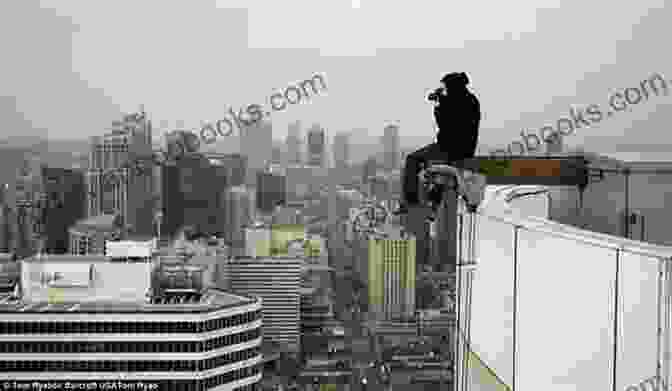 Urban Explorer Standing On The Roof Of An Abandoned Building, Looking Out Over The City Landscape Of A Marriage: Central Park Was Only The Beginning