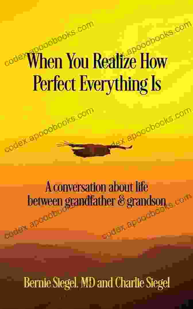 When You Realize How Perfect Everything Is Book Cover When You Realize How Perfect Everything Is: A Conversation About Life Between Grandfather And Grandson