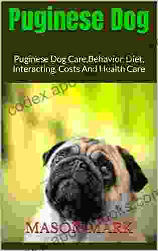 Puginese Dog : Puginese Dog Care Behavior Diet Interacting Costs And Health Care