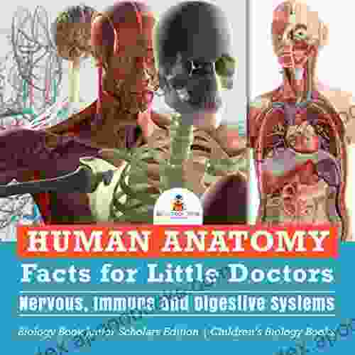 Human Anatomy Facts for Little Doctors : Nervous Immune and Digestive Systems Biology Junior Scholars Edition Children s Biology