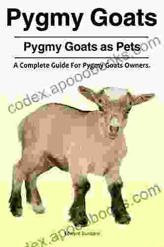 Pygmy Goats Pygmy Goats As Pets: A Complete Guide For Pygmy Goats Owners