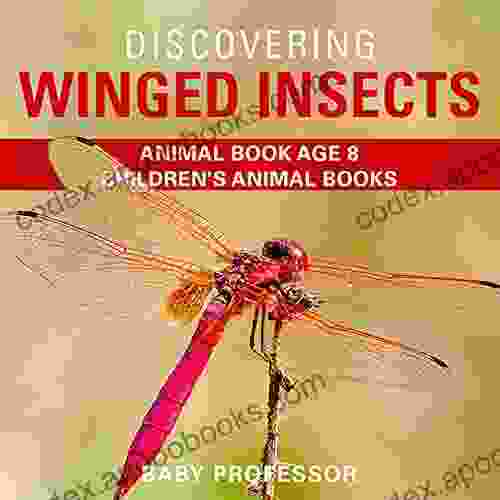 Discovering Winged Insects Animal Age 8 Children S Animal