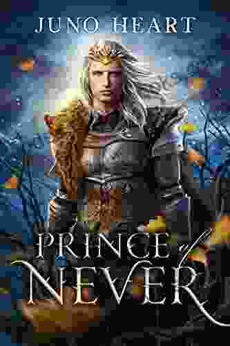 Prince of Never: A Fae Romance (Black Blood Fae 1)