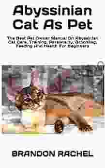 Abyssinian Cat As Pet : The Best Pet Owner Manual On Abyssinian Cat Care Training Personality Grooming Feeding And Health For Beginners